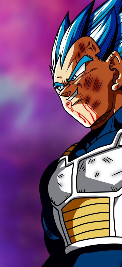 Fond d'écran iPhone Dragon Ball Super Vegeta