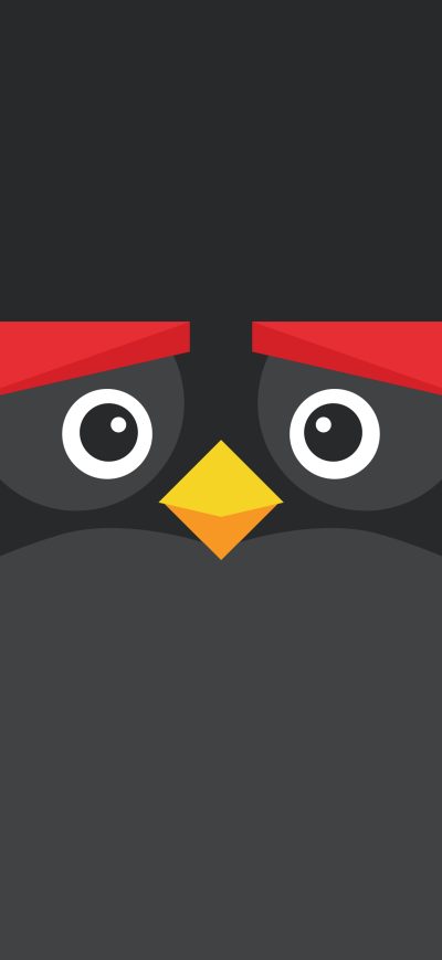 Fond d'écran iPhone Angry Bird Minimal Dark 8k