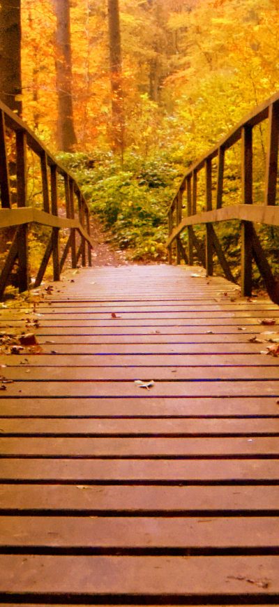 Fond d'écran iPhone Wooden Bridge Forest Autumn Leaves