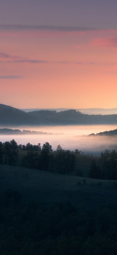 Fond d'écran iPhone Landscape With Trees And Fog 5k