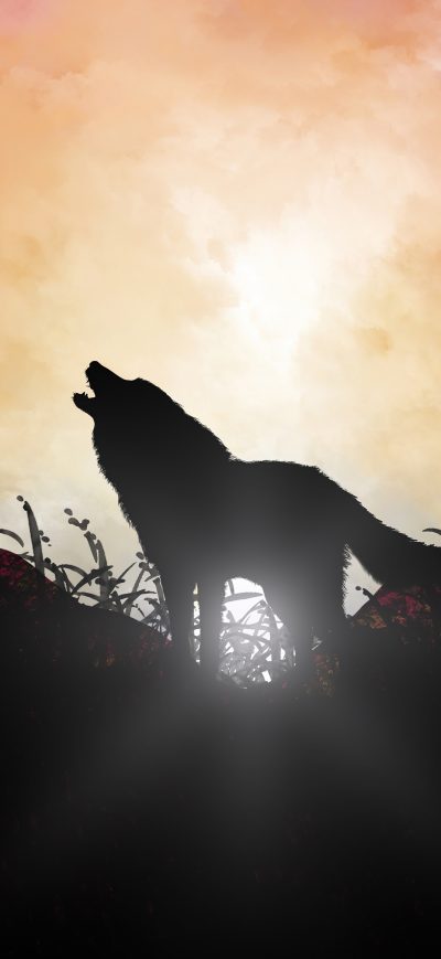 Fond d'écran iPhone Fox Howling Sunrise 5k