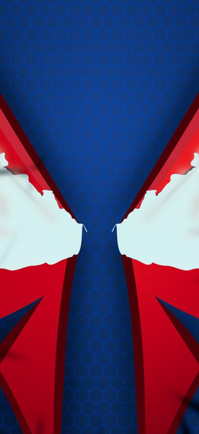 Fond d'écran iPhone Spider Man 2099 X Venom