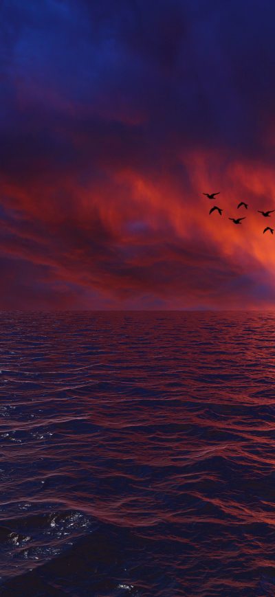 Fond d'écran iPhone Waves Sky Birds 4k