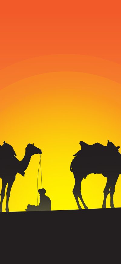 Fond d'écran iPhone Camel Leaders Silhouette