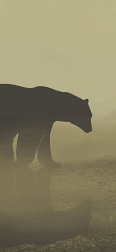 Fond d'écran iPhone The Bear And The Kid 4k