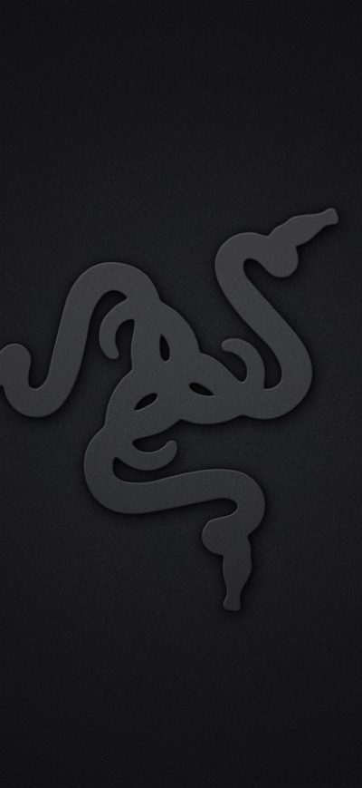Fond d'écran iPhone Razer Logo
