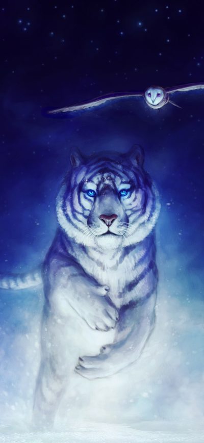 Fond d'écran Tiger Owl 4k sur iPhone