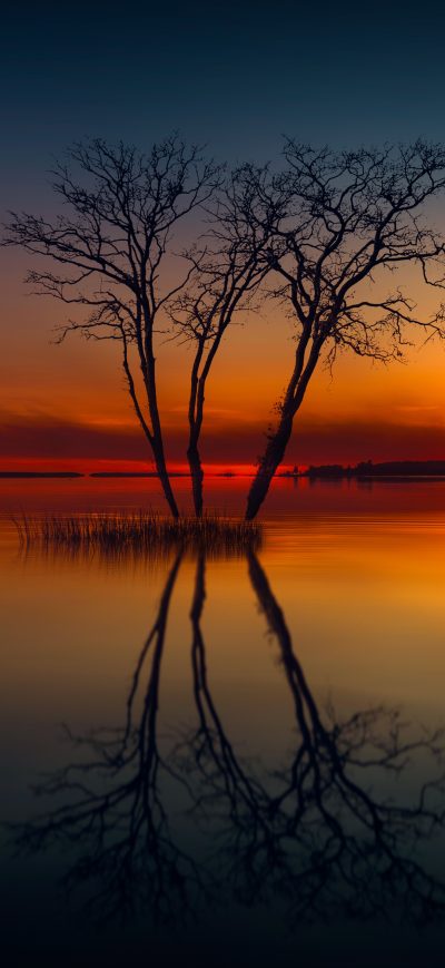 Fond d'écran iPhone Horizon Lake Nature Reflection Sunset Tree