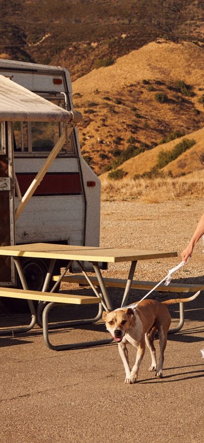 Fond d'écran iPhone Amber Heard Allure 2017 With Dog