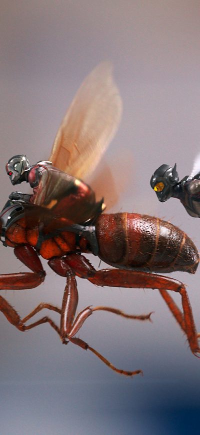 Fond d'écran iPhone Ant Man And The Wasp