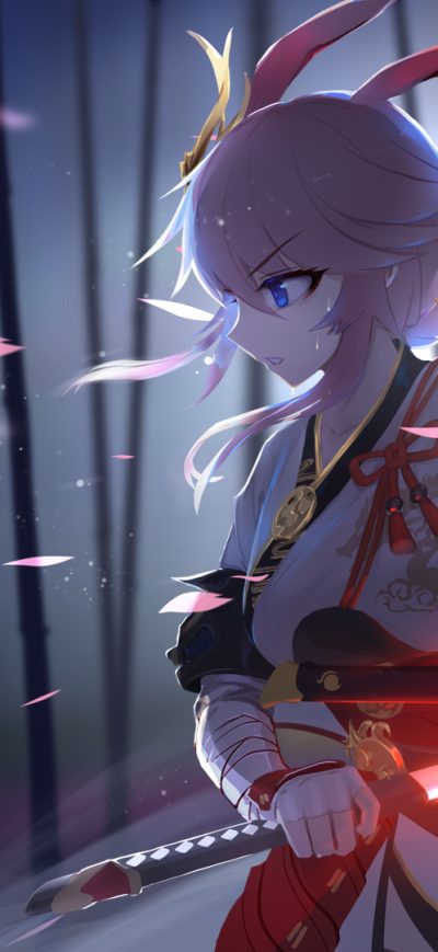 Fond d'écran iPhone Honkai Impact Anime Girl