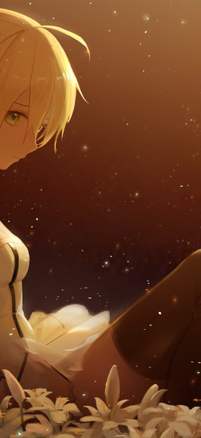Fond d'écran iPhone Saber Lily Fate Grand Order