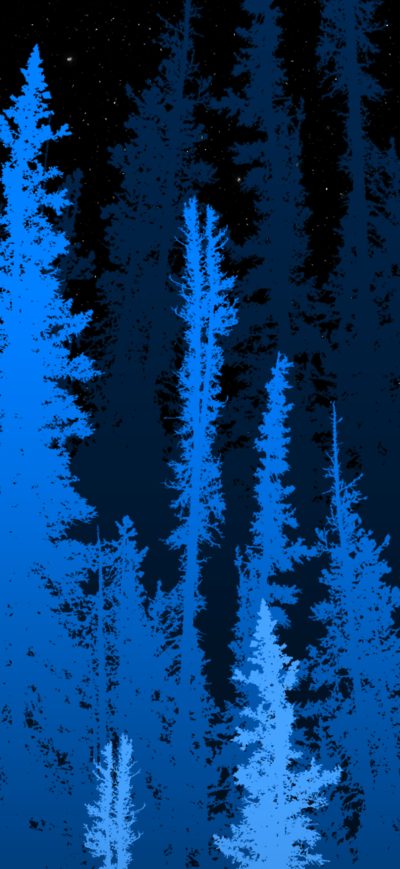 Fond d'écran iPhone Forest Long Blue Trees 4k