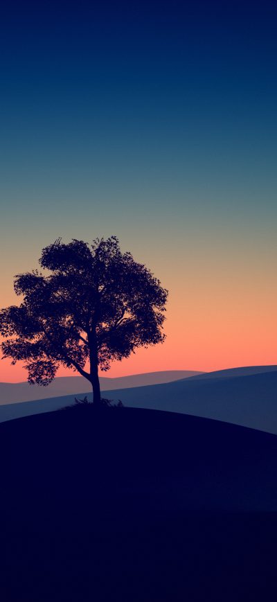 Fond d'écran iPhone Tree Alone Dark Evening 4k