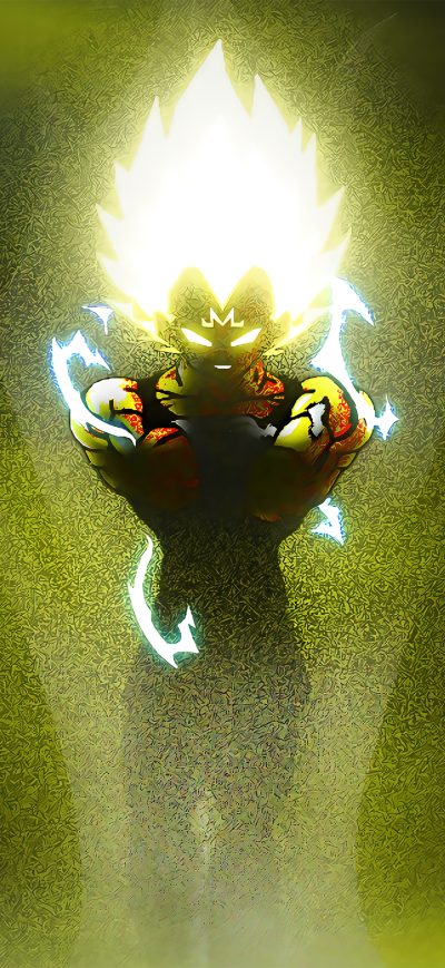 Fond d'écran iPhone Vegeta