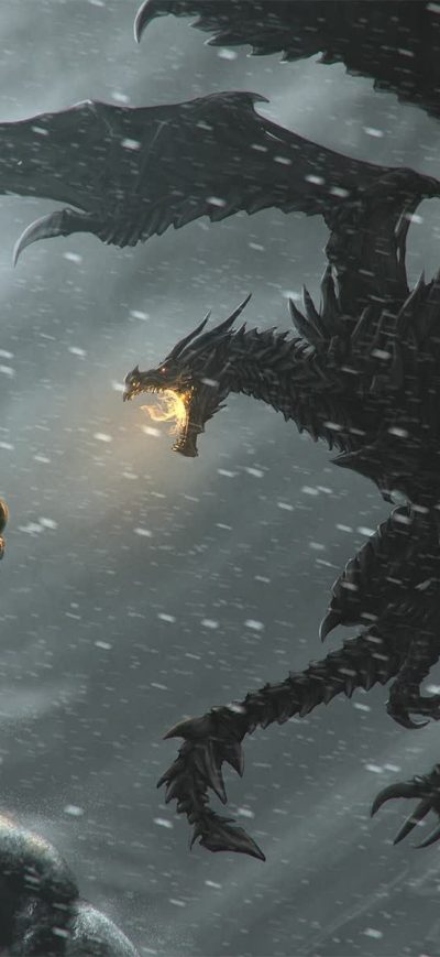Fond d'écran iPhone The Elder Scrolls Legends Warrior Dragon Snow Fire