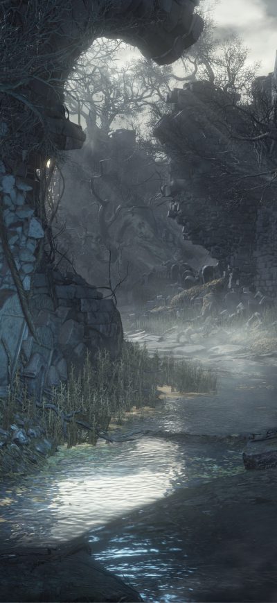 Fond d'écran The Dark Souls Video Game sur iPhone