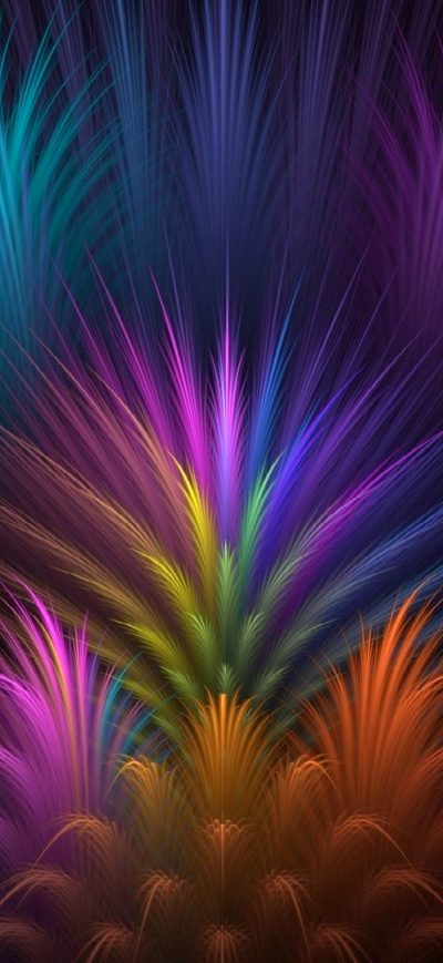 Fond d'écran iPhone Feathers Colorful Petals