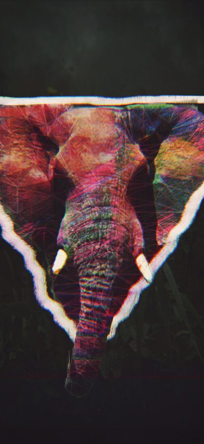 Fond d'écran iPhone Glitch Elephant Art