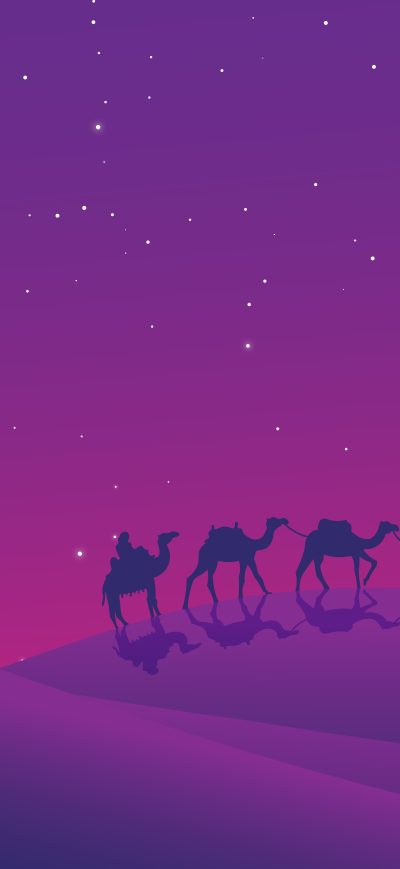 Fond d'écran iPhone Camels Desert Evening Minimal 8k