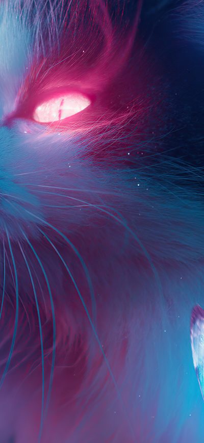 Fond d'écran iPhone Cat Bladerunner Art 4k