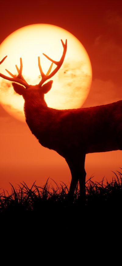 Fond d'écran iPhone Unreal Deer Morning 4k