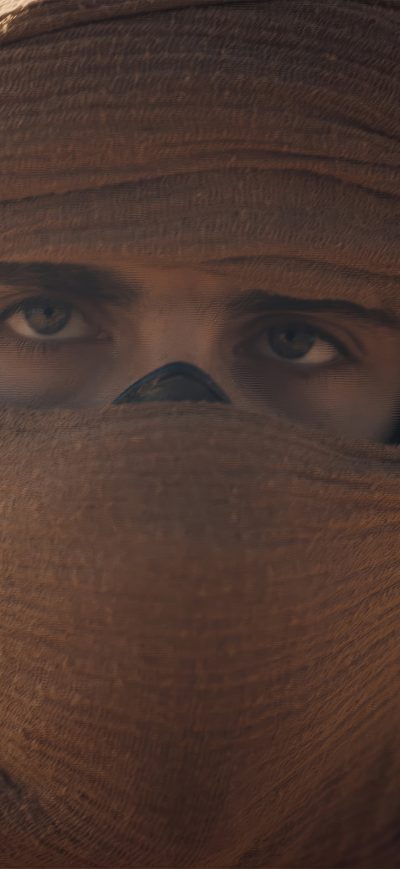 Fond d'écran iPhone Timothee Chalamet As Paul Atreides In Dune