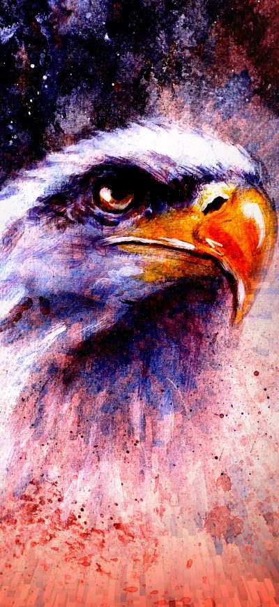 Fond d'écran iPhone Eagle Abstract 5k