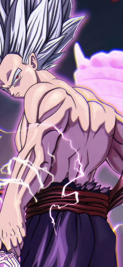 Fond d'écran iPhone Gohan Beast Samurai