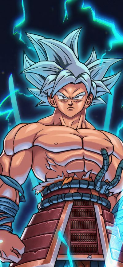 Fond d'écran iPhone Samurai Goku Ultra Instinct