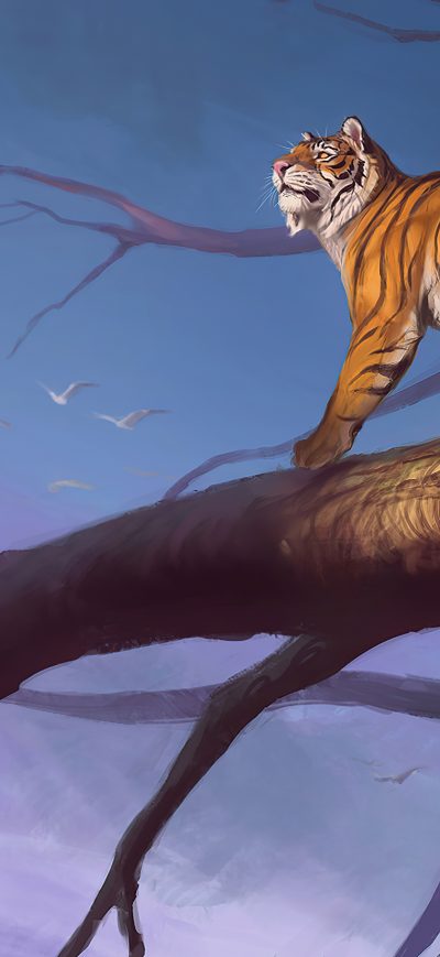 Fond d'écran iPhone Tiger Branch Sunset 4k