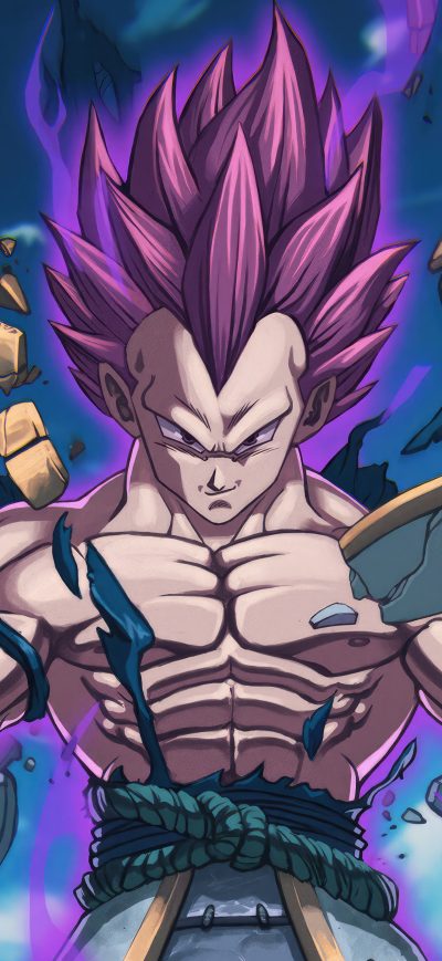 Fond d'écran iPhone Samurai Vegeta Ultra Ego