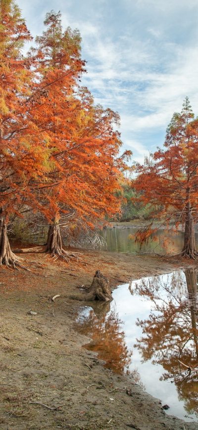 Fond d'écran iPhone Pond Autumn Park Hd