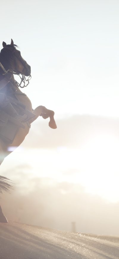 Fond d'écran iPhone Battlefield 1 8k