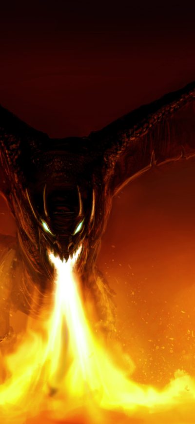 Fond d'écran iPhone Dragon Illustration 4k