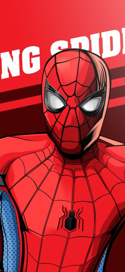 Fond d'écran iPhone The Amazing Spider Man Poster