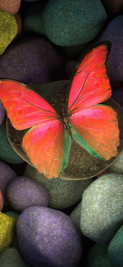 Fond d'écran iPhone Butterfly On Rocks 4k