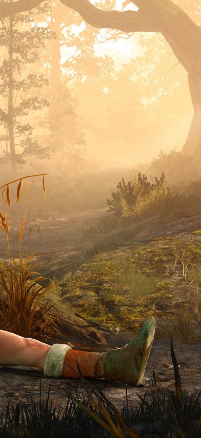 Fond d'écran iPhone The Witcher 3 WIld Hunt 2