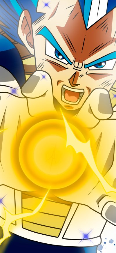 Fond d'écran iPhone Vegeta Dragon Ball