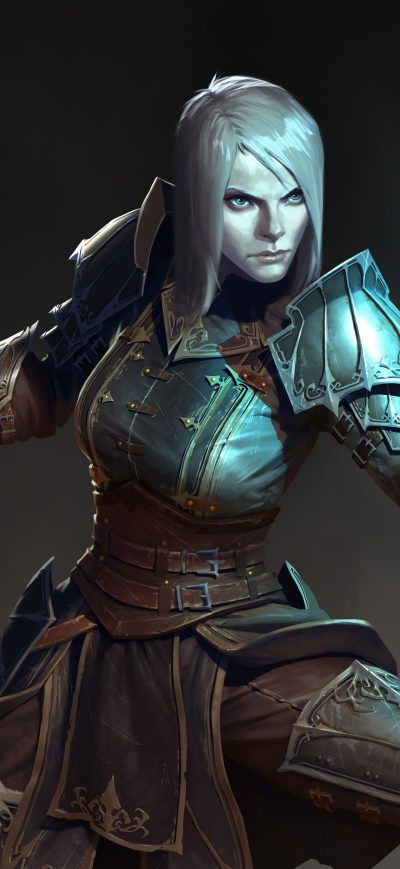 Fond d'écran iPhone Female Necromancer Diablo III