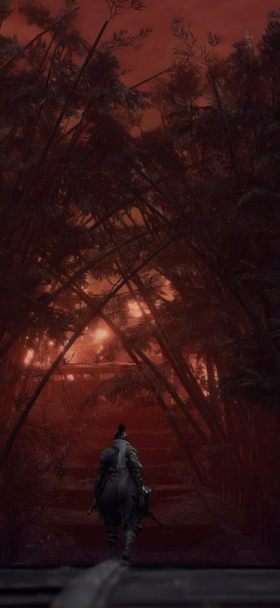 Fond d'écran iPhone Sekiro Shadows Die Twice Game 4k