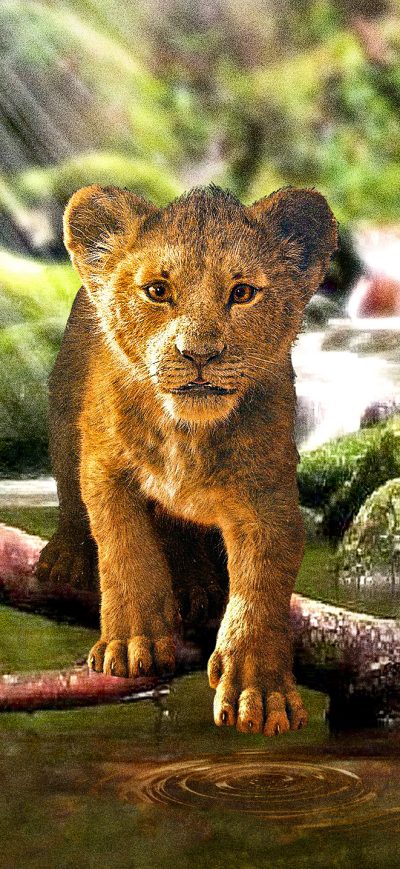 Fond d'écran iPhone The Lion King Simba 2019