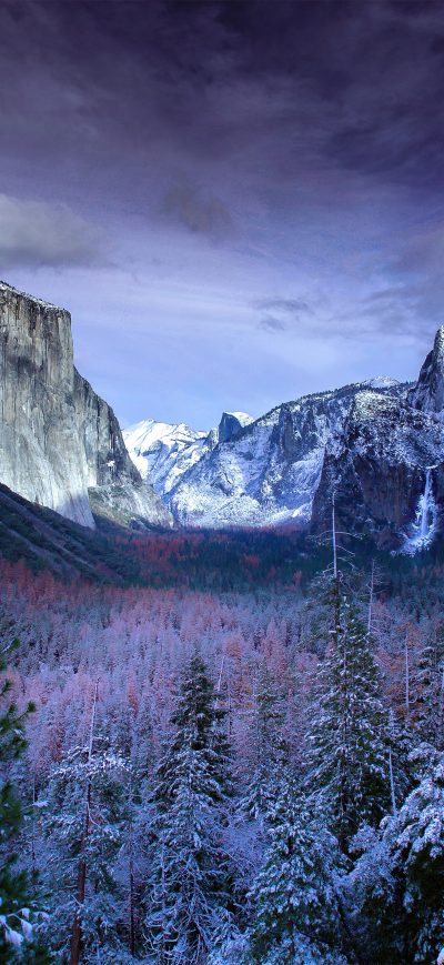 Fond d'écran iPhone Snow Forests Yosemite Scenery 4k