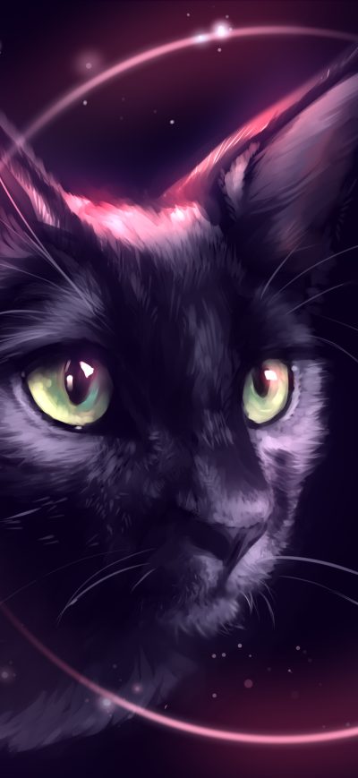 Fond d'écran iPhone Cat Eclipse