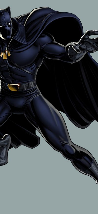 Fond d'écran iPhone Black Panther Fictional Superhero 2