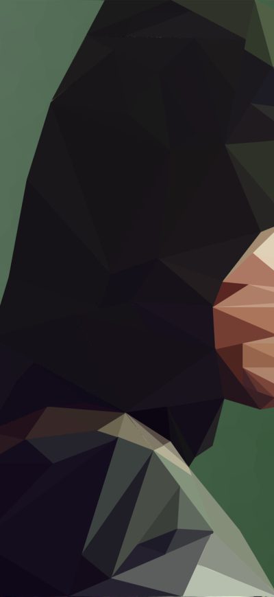Fond d'écran iPhone Arrow Low Poly