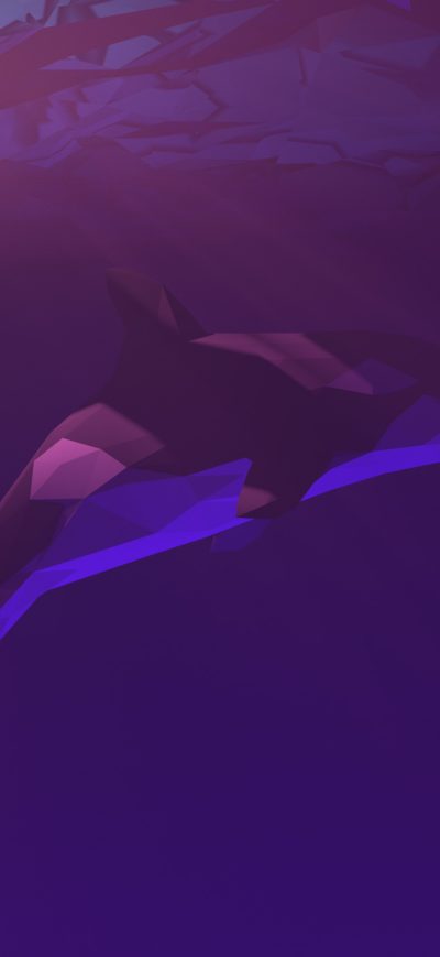 Fond d'écran iPhone Low Poly Dolphin