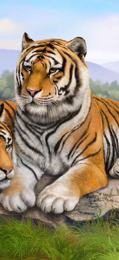 Fond d'écran iPhone Tigers Art