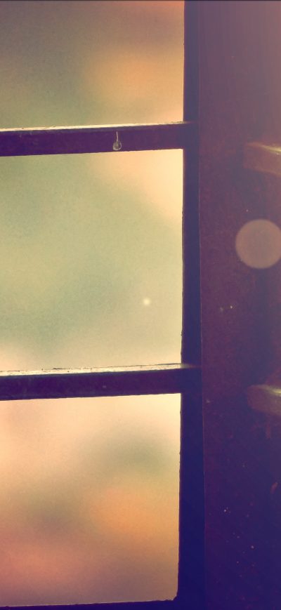 Fond d'écran Sparrow Sitting On Railing 4k sur iPhone