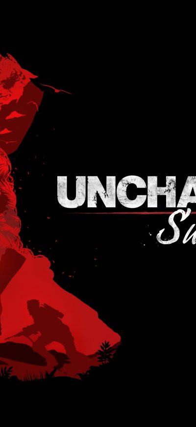 Fond d'écran iPhone Uncharted 4 Survival